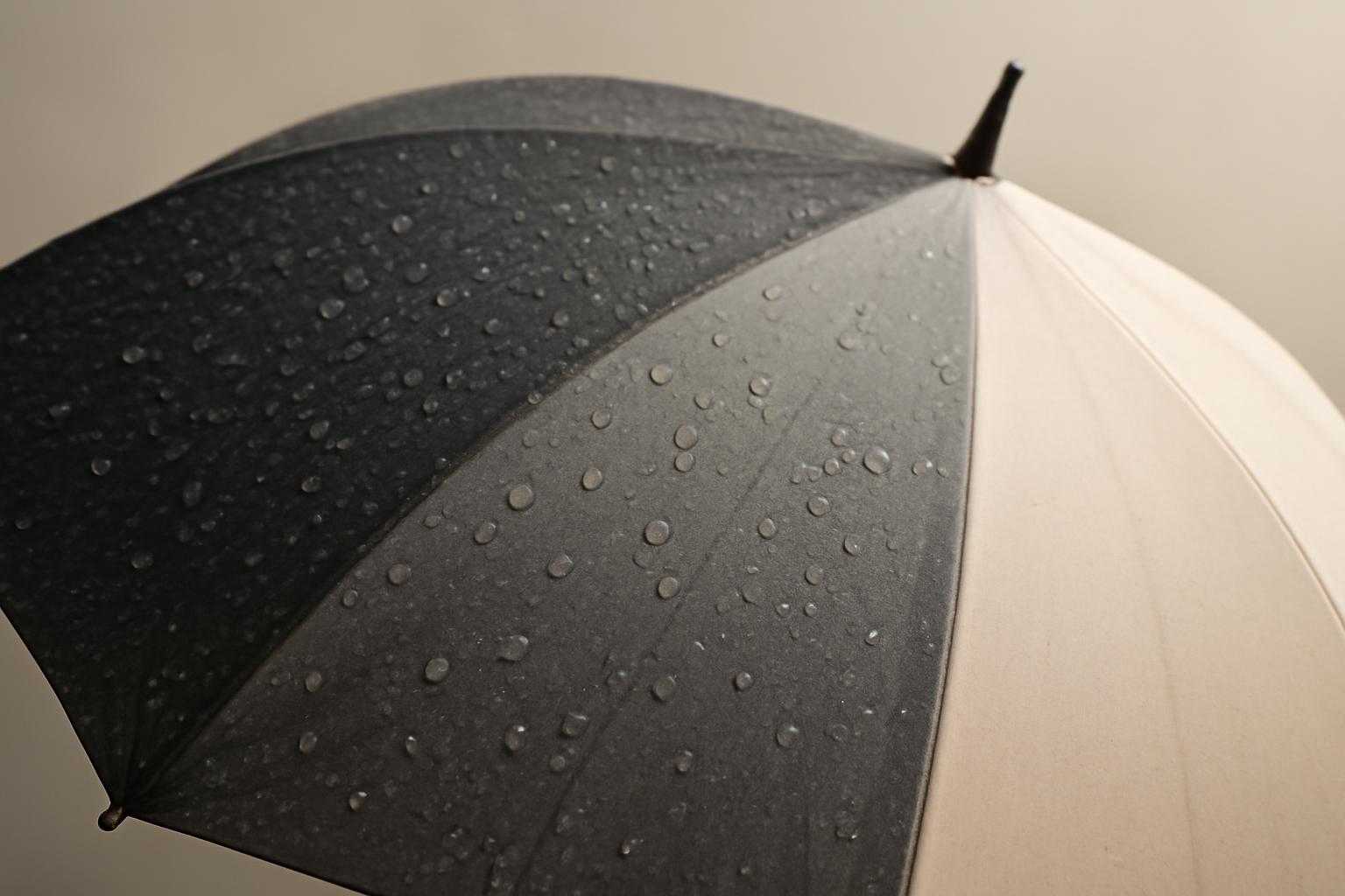 晴雨兼用傘の寿命は何年？適切な使用期間と寿命を延ばす目安を解説