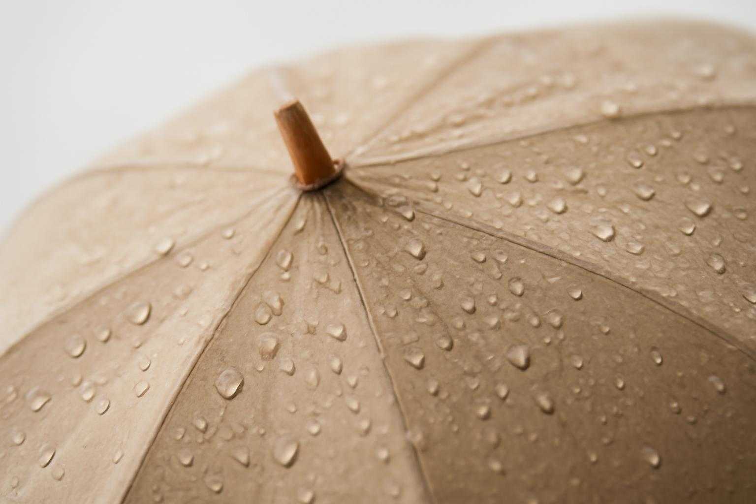 晴雨兼用傘の雨漏り原因は？長く使えない理由と対策法を徹底解説